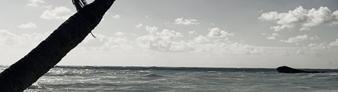 Sunset-Surf-Collective
